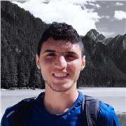 studente ingegneria offre ripetizioni materie scientifiche scuole medie ed elementari